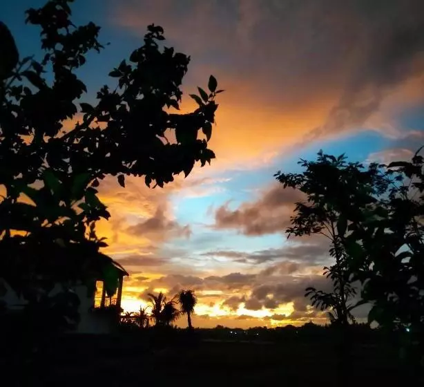 Majatalo Medewi Surf And Stay