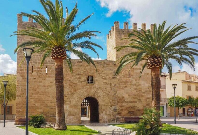 Alcudia   38363 Mallorca