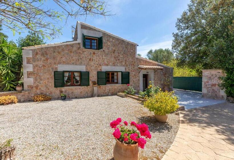 Alcudia   38363 Mallorca