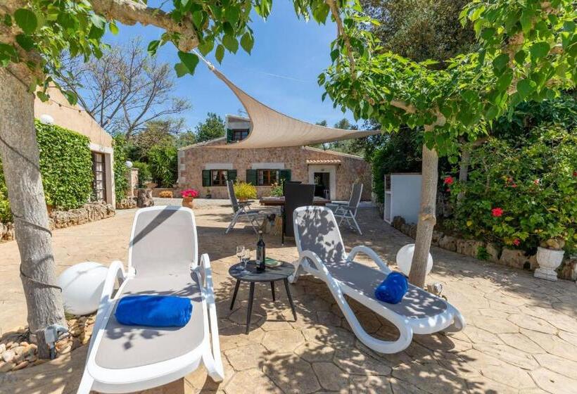 Alcudia   38363 Mallorca