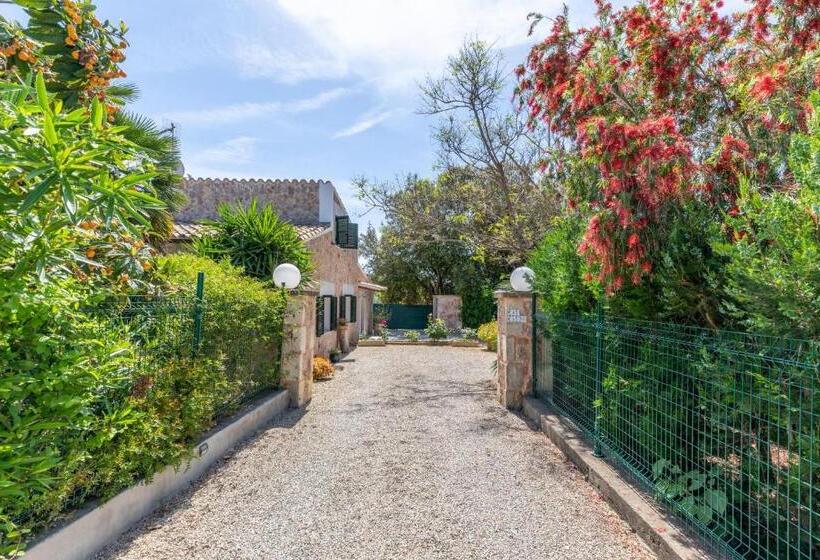 Alcudia   38363 Mallorca