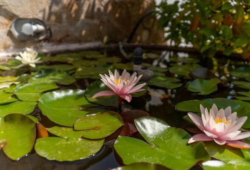 Appartamento Amare 1