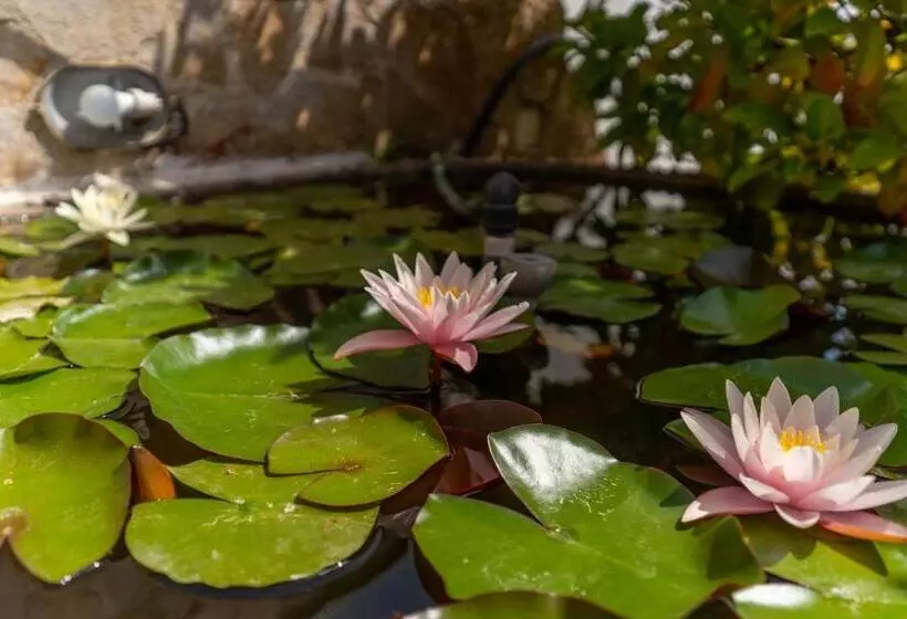 Appartamento Amare 1