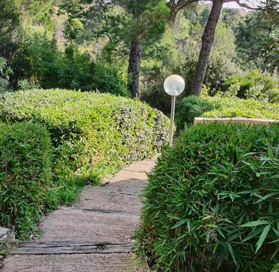 Appartement Vue Mer Golfe De Saint Tropez