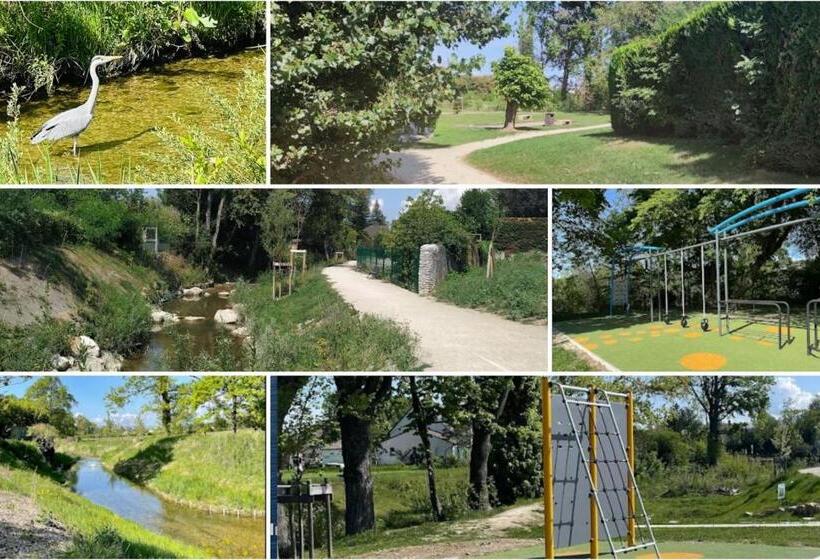 Homey Genius   à 100 M De La Douane/terrasse Privée