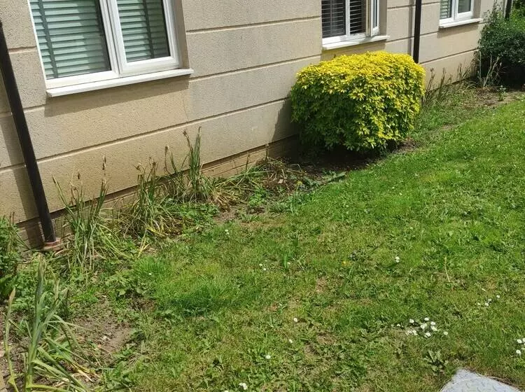 Immaculate 1 Bed Apartment In Borehamwood