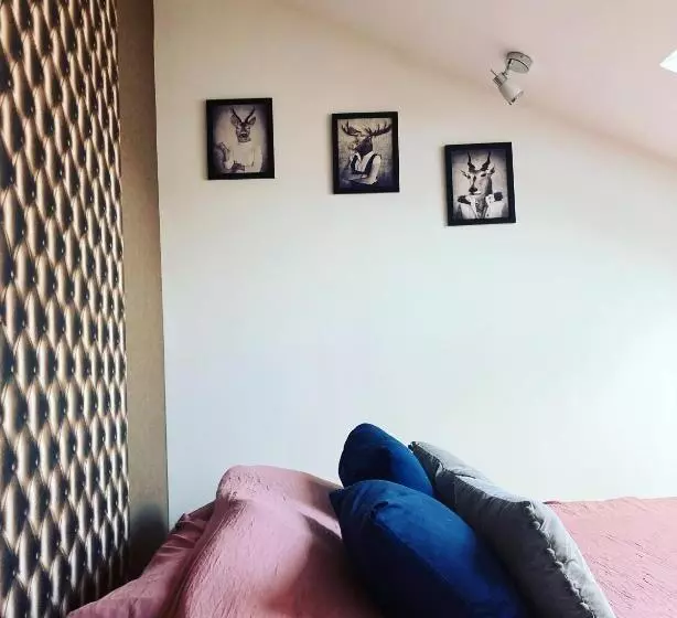 Le Carrosse, La Diligence, Centre Saint Jean De Losne Tarif 2pers 1 Chambre, Tarif 4 Pers 2 Chambres