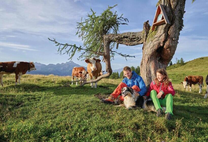 Super Central City Appartement With Free Parking