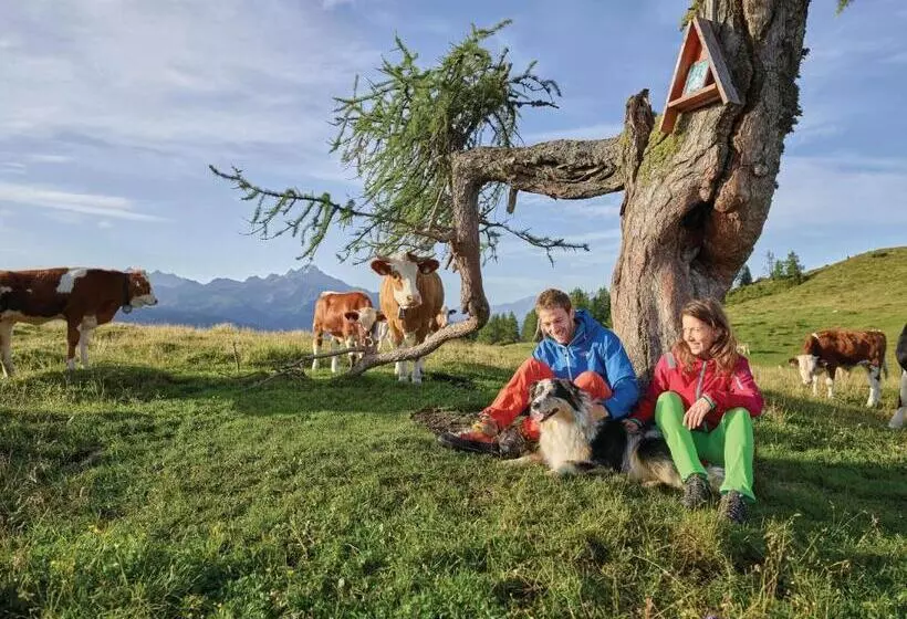 Super Central City Appartement With Free Parking