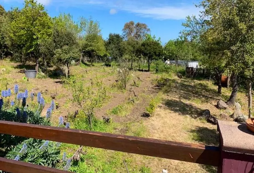 Seaside Apartment In Sassari Stunning View
