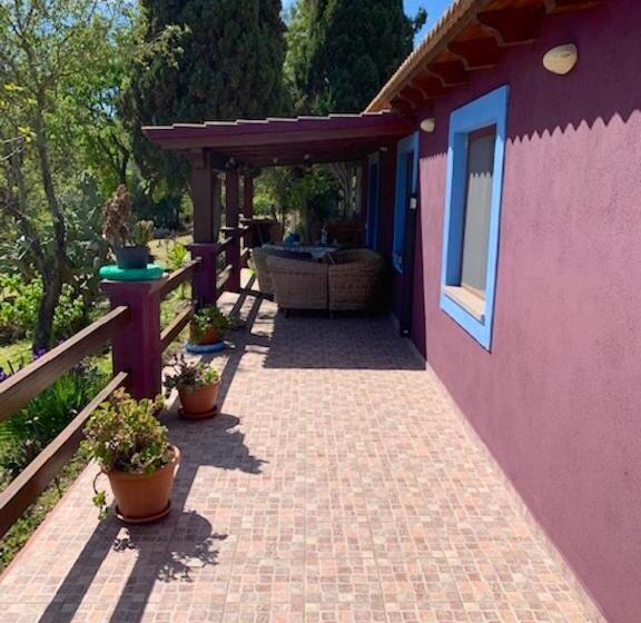 Seaside Apartment In Sassari Stunning View