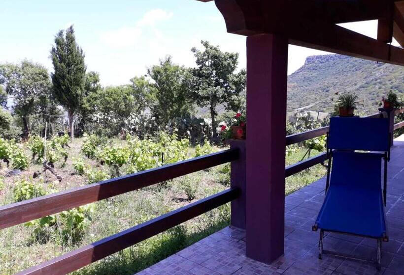 Seaside Apartment In Sassari Stunning View