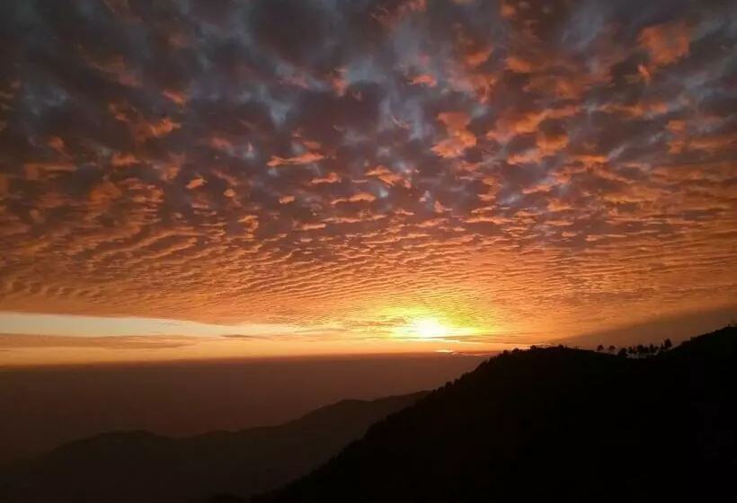 In Apple Estate Kanatal   Himalayan View Resort With Courteous Staff