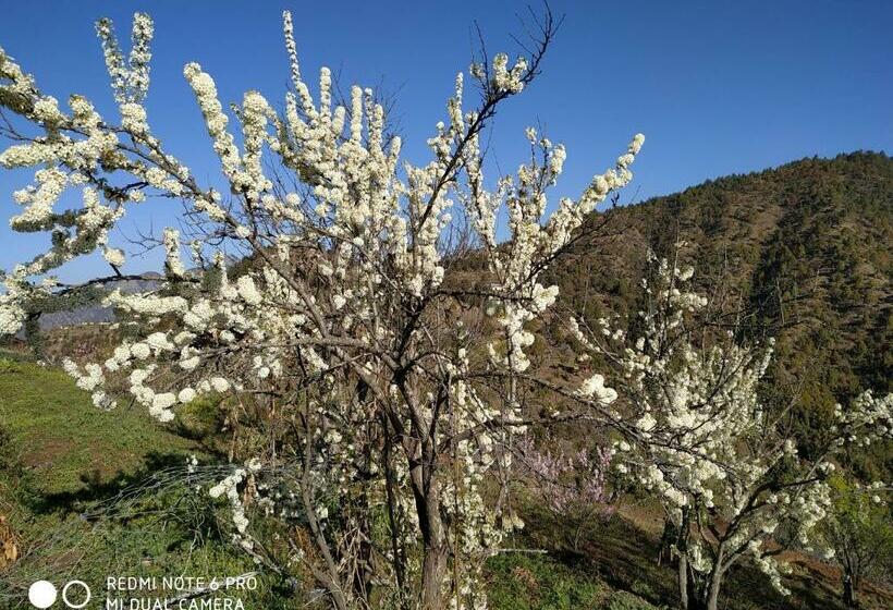 In Apple Estate Kanatal Himalayan View Resort With Courteous Staff