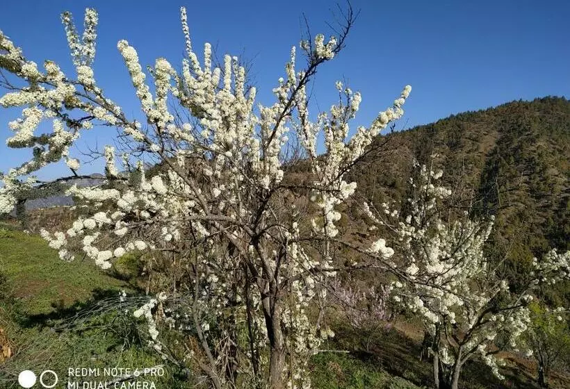 In Apple Estate Kanatal   Himalayan View Resort With Courteous Staff