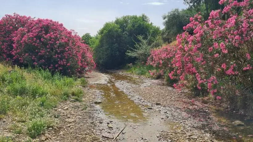 La Casa Del Rio
