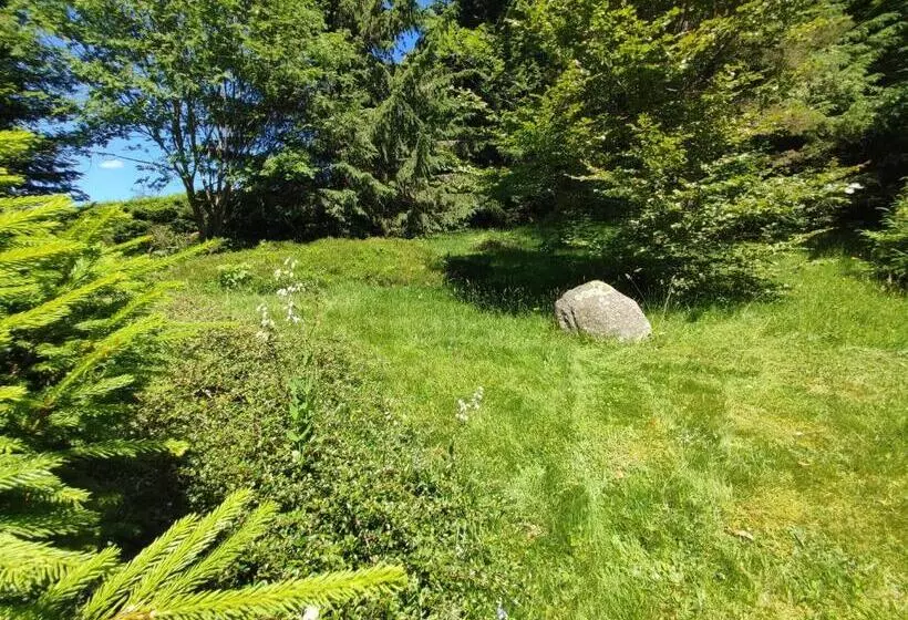 Les Cimes Blanches Cledicihome Chalet 10 Pers Spa & Grand Terrain 4 Minutes Des Pistes