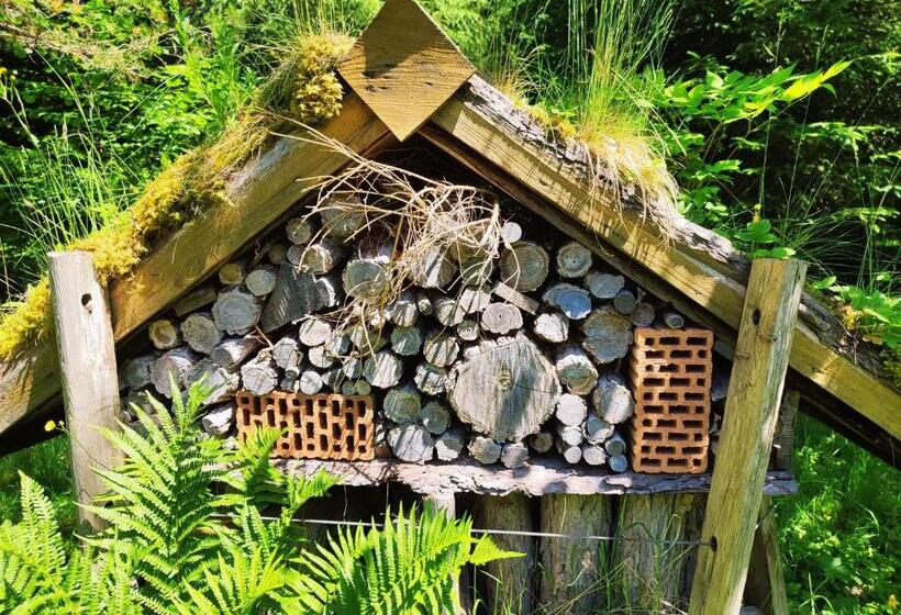 Les Cimes Blanches Cledicihome Chalet 10 Pers Spa & Grand Terrain 4 Minutes Des Pistes