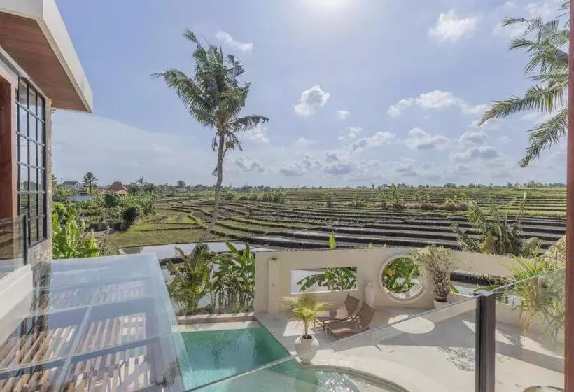 Rumah Simba
