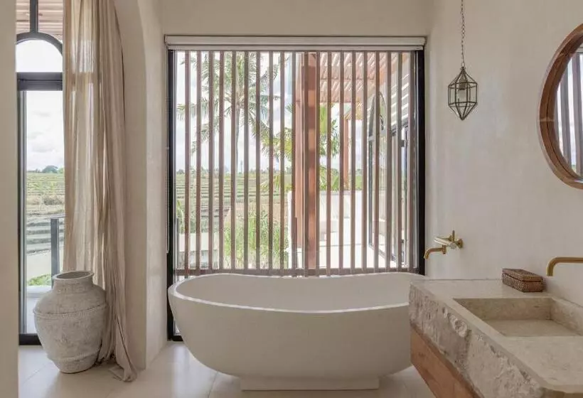 Rumah Simba