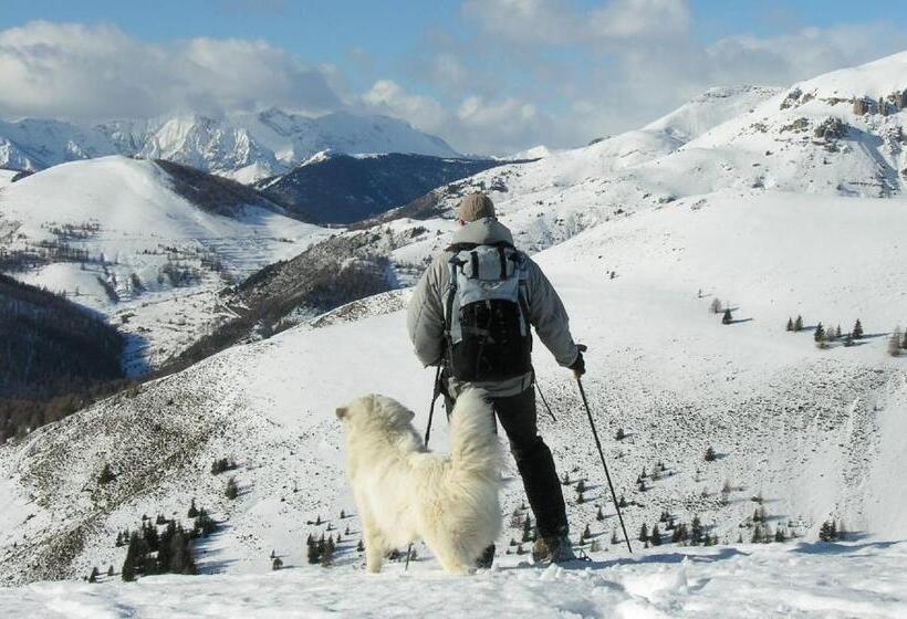 تختخواب و صبحانه Chambres D Hôtes Le Grand Chalet