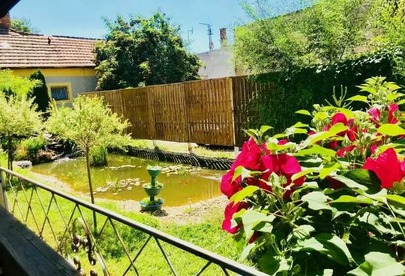 Aamiaismajoitus (B&B) Kinizsi Panzió
