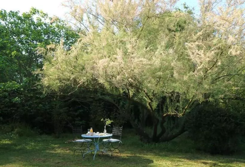 Aamiaismajoitus (B&B) Mas Du Rollier Chambres D Hôtes