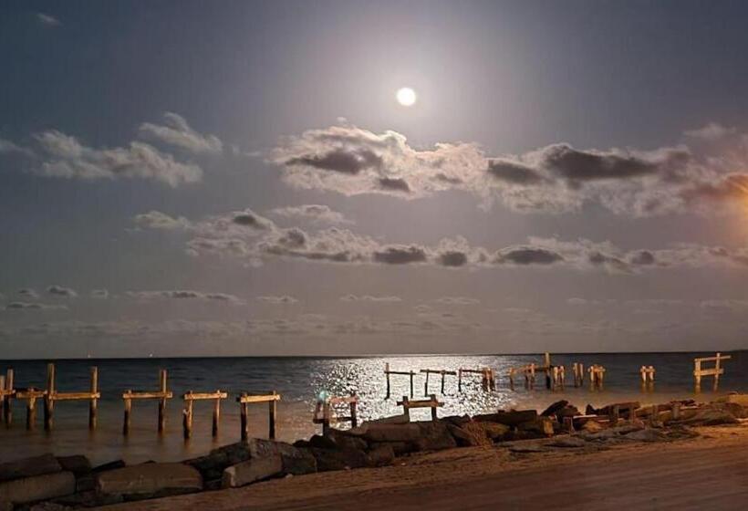 Brand New Rv Bay Front