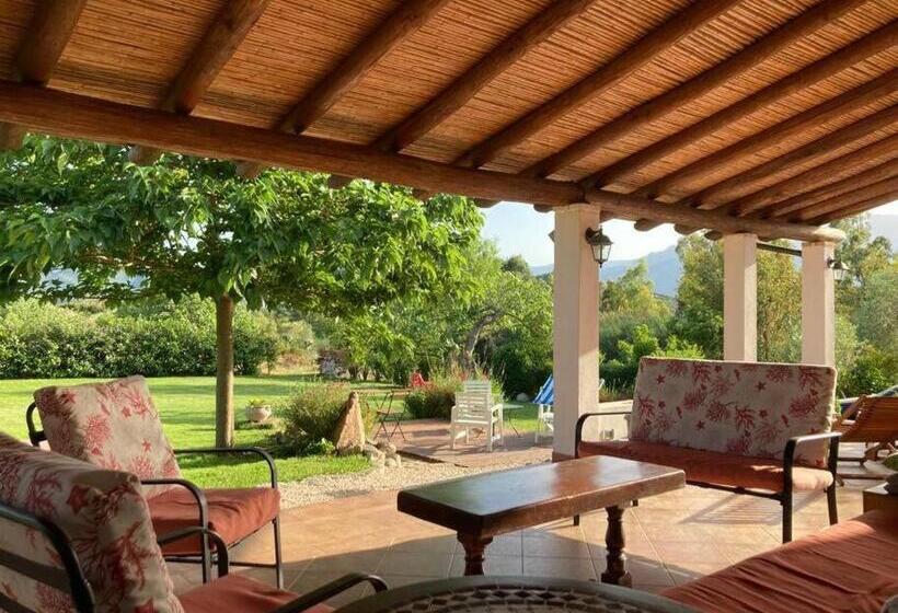 Countryside Villa In Sardinia