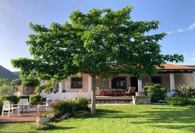 Countryside Villa In Sardinia