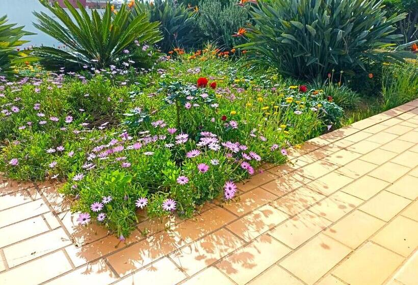 پانسیون Casa Azul