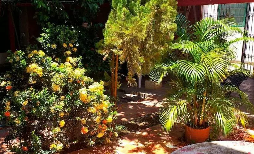 ペンション Casa Serrano   Callejón De Don Blas 3 Hab Carreto
