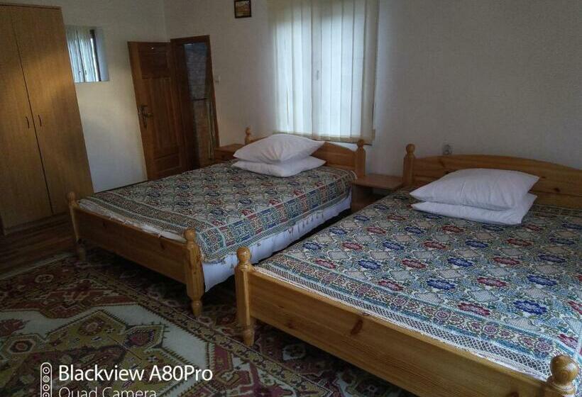 Pensiunea Irina 1 Si 2