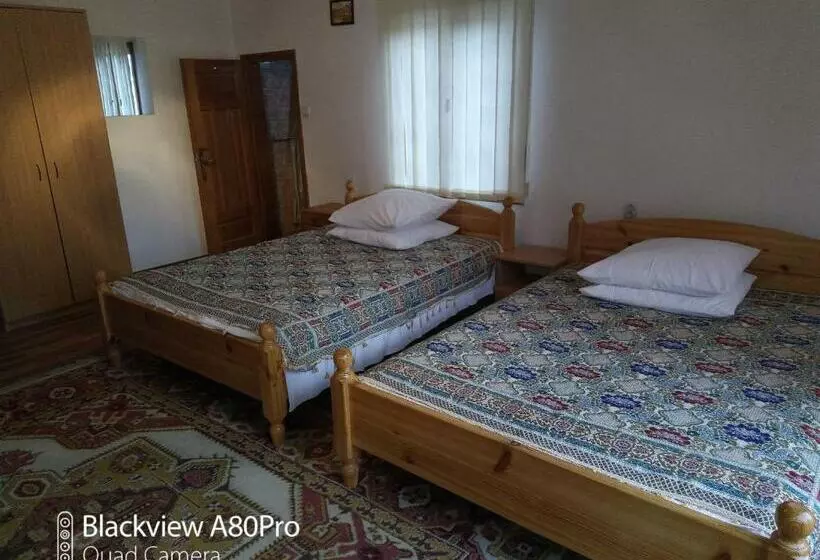 Pensiunea Irina 1 Si 2