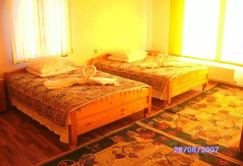 Pensiunea Irina 1 Si 2