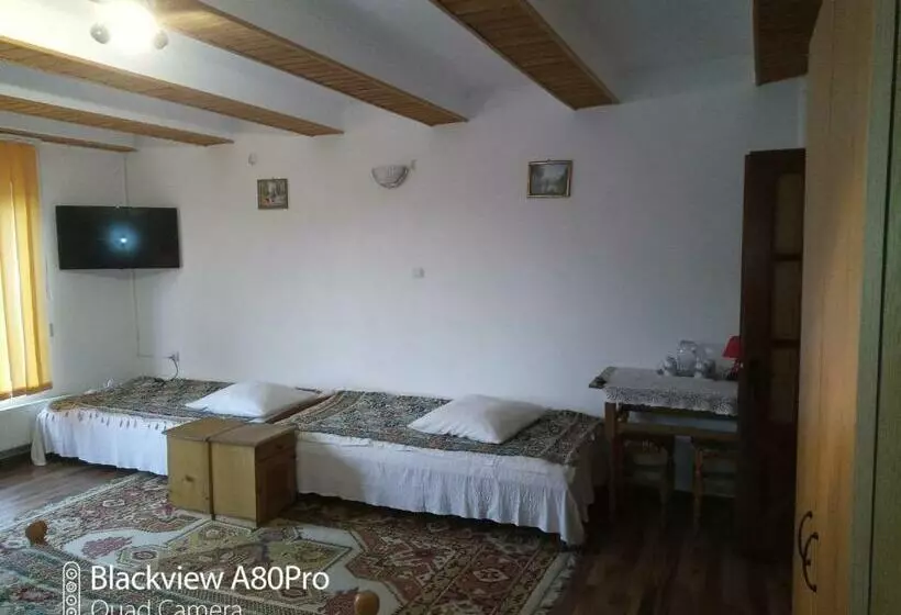 Pensiunea Irina 1 Si 2