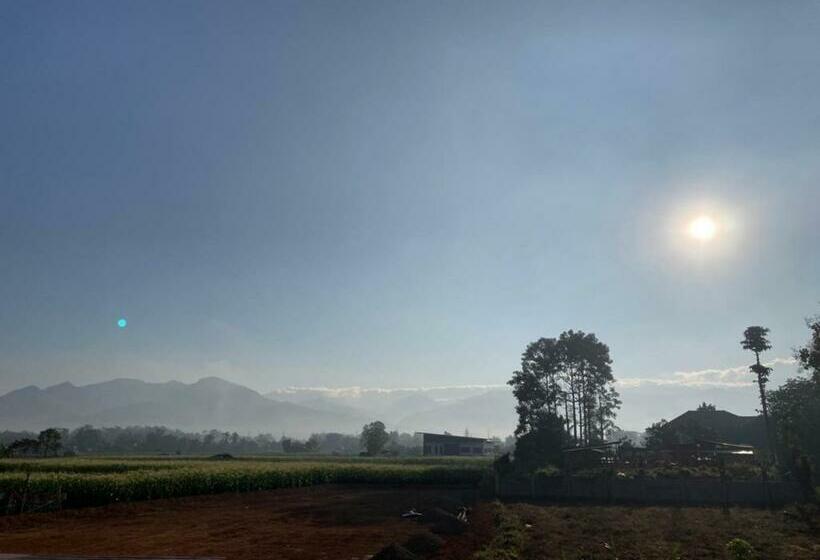 Bed and Breakfast อิงขว้างโฮมสเตย์