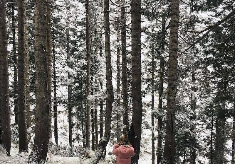 Bed and Breakfast Tepedebiyer Restoran & Bungalov