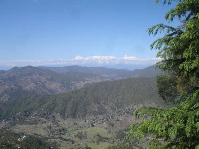 Hotel Crystal Palace