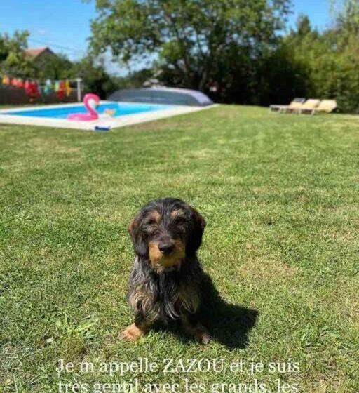 Logement Indépendant Piscine Et Jardin