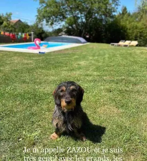 Logement Indépendant Piscine Et Jardin