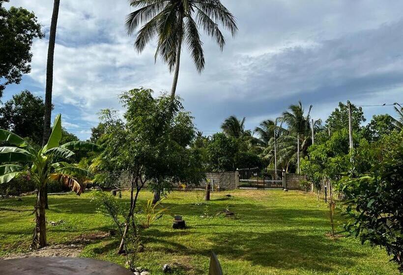 Pension (Hôtel basse catégorie) Mellow Villa