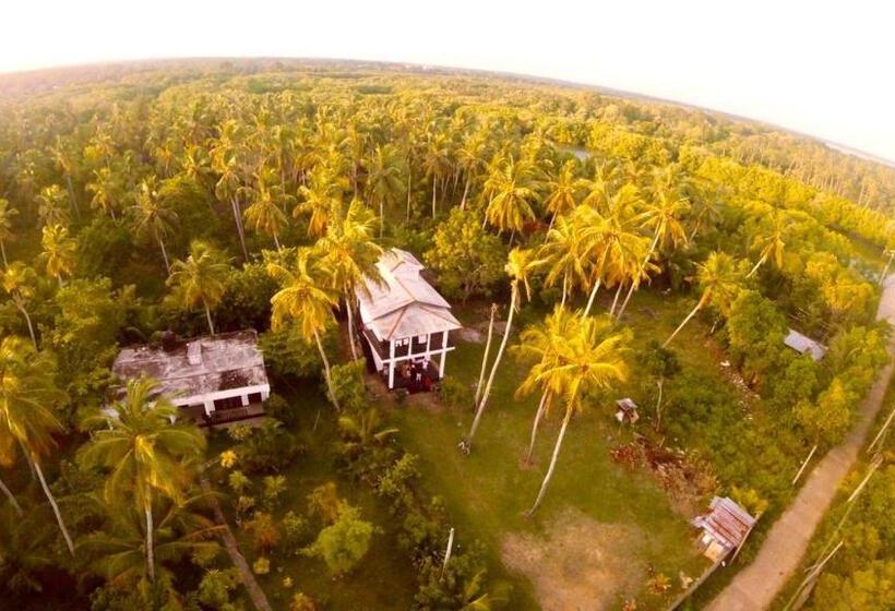 Pension (Hôtel basse catégorie) Mellow Villa