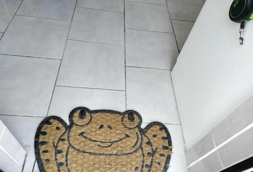 One Bedroom Apartment Achill Island Pets Allowed