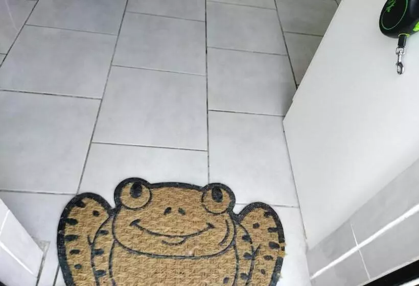 One Bedroom Apartment Achill Island Pets Allowed