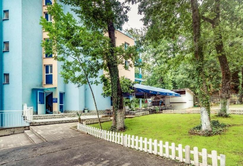 בית מלון כפרי Park 2