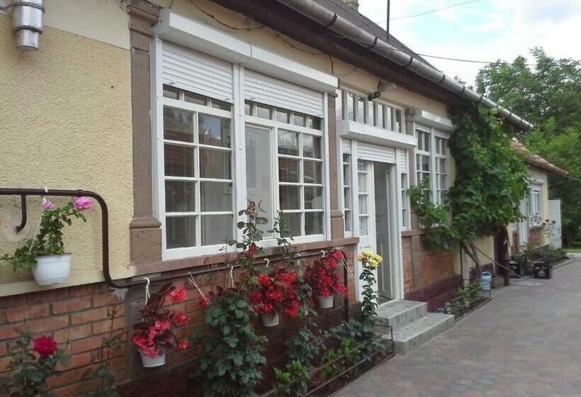 פנסיון Taxispihenő