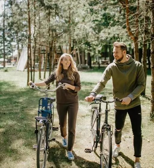 Trikampis Miško Namelis Druskininkų Centre