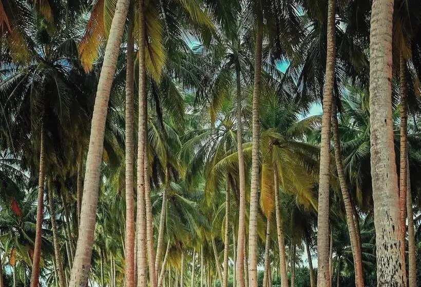 پانسیون Suffix Retreat   Stay, Dive & Explore Fuvahmulah