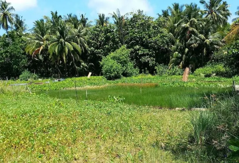 پانسیون Suffix Retreat   Stay, Dive & Explore Fuvahmulah